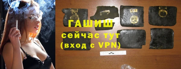 гидра Карпинск