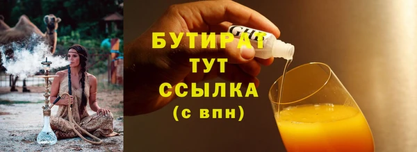 гидра Карпинск