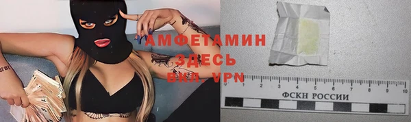 гидра Карпинск