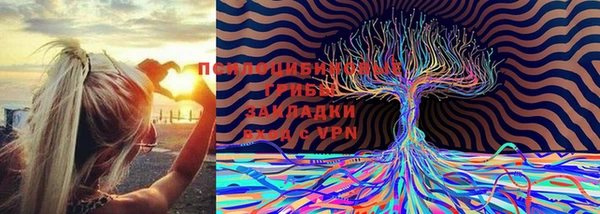 марки lsd Касимов