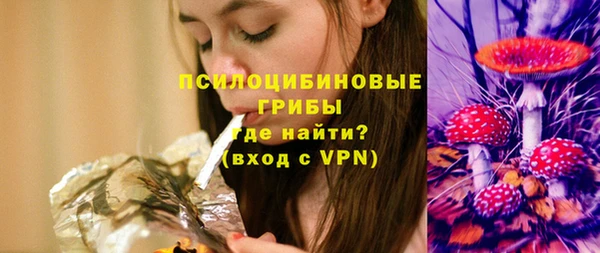 гидра Карпинск