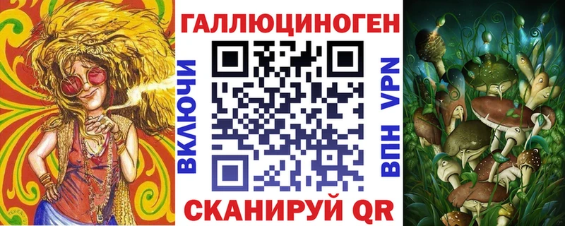 Купить где  Куртамыш  Галлюциногенные грибы Cubensis 